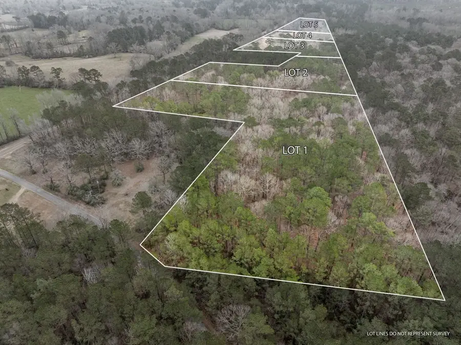 4 Hwy 24, Liberty, MS 39645 - Image #3