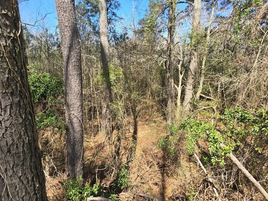 000 Hwy 13, Mendenhall, MS 39114 - Image #3