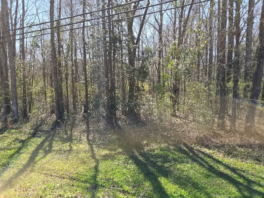 000 Hwy 149, Mendenhall, MS 39114 - Image #2