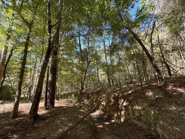 TDB Delaware Avenue, McComb, MS 39648