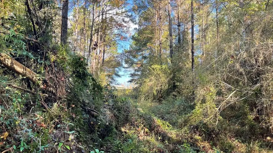 TDB Delaware Avenue, McComb, MS 39648 - Image #2