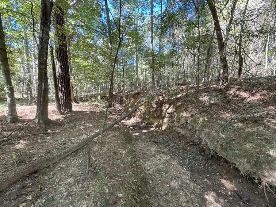 TDB Delaware Avenue, McComb, MS 39648 - Image #3