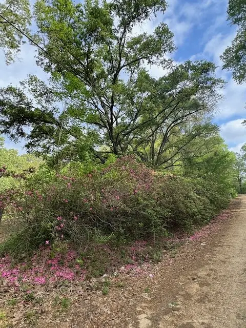 2 Lost Creek Road, Natchez, MS 39120 - #3