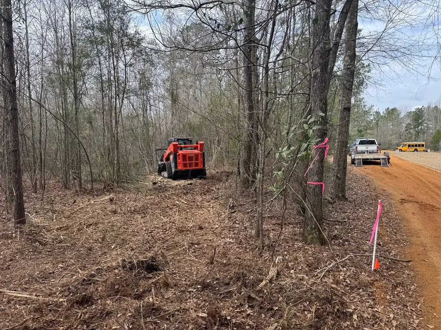 1365 Mickle Smith Trail, Bogue Chitto, MS 39629 - Image #3