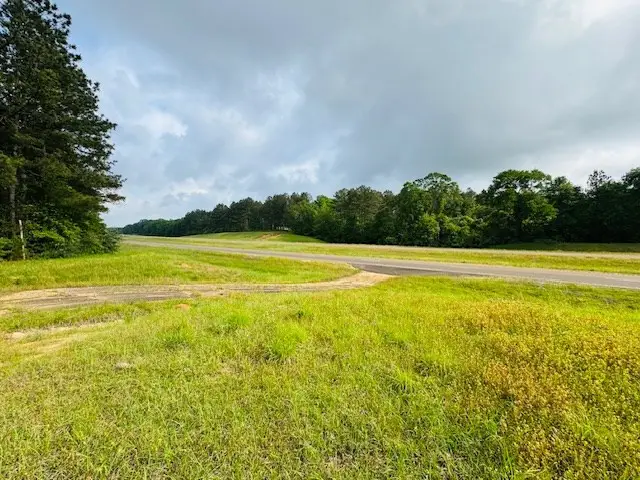 TBD Hwy 98 Ea Street, Tylertown, MS 39667 - #2