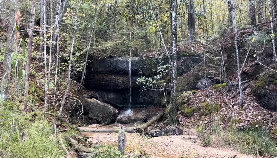 0 Stump Road, Gloster, MS 39638 - #2