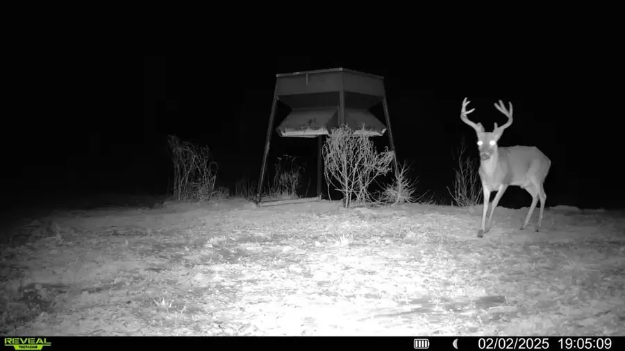 1 Cemetary Road, Harrisonburg, LA 71340 - Image #2