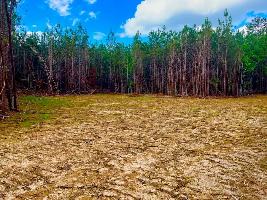 TBD Reeves Rd Se, Ruth, MS 39662 - Image #2