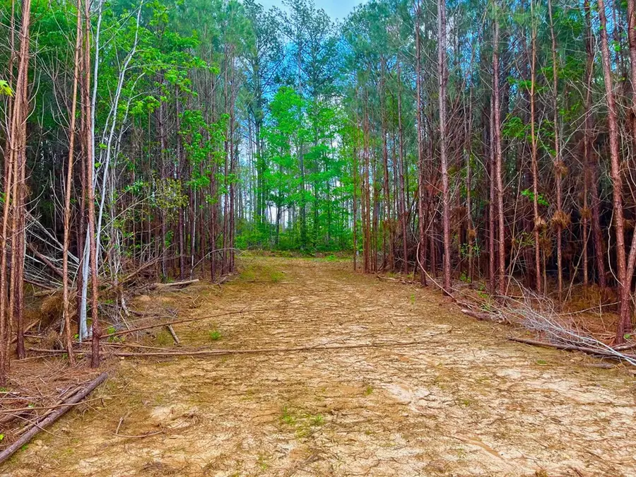 TBD Reeves Rd Se, Ruth, MS 39662 - Image #3
