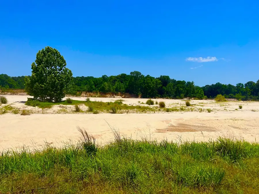 TBN Bunkley Road, Meadville, MS 39653 - #2