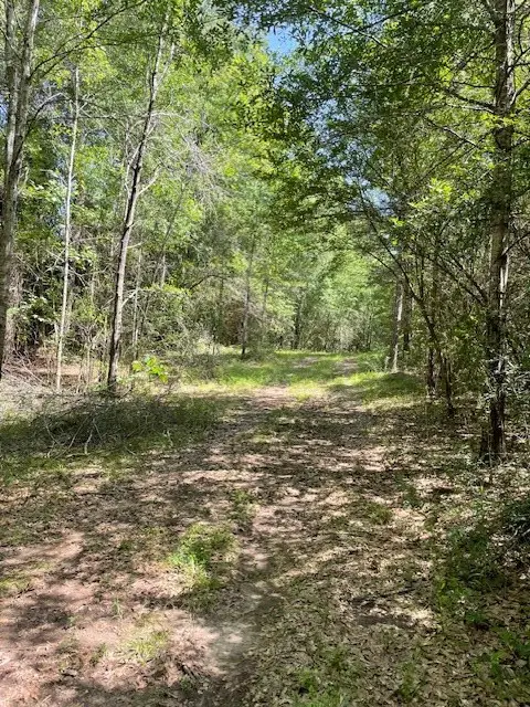 Tom Warner Road, Tylertown, MS 39667 - Image #2