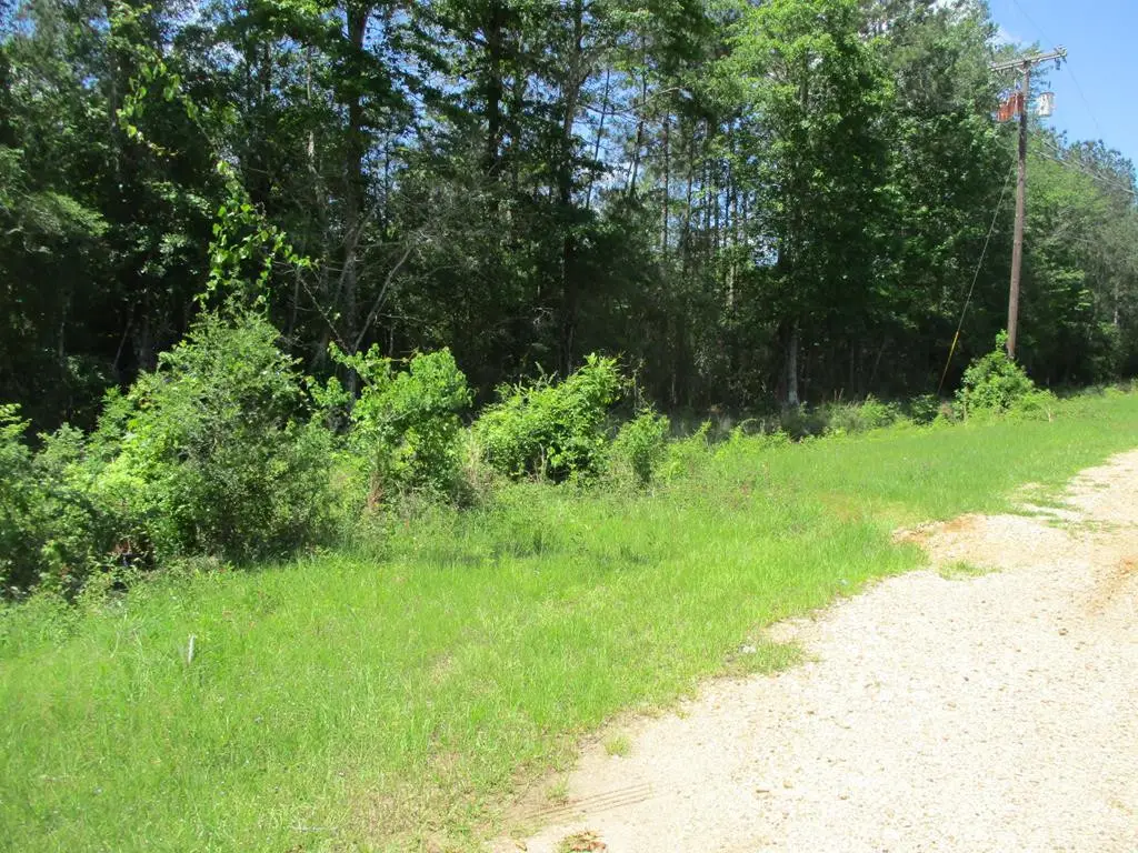 000 E 17th Street, Franklinton, LA 70438 - #1