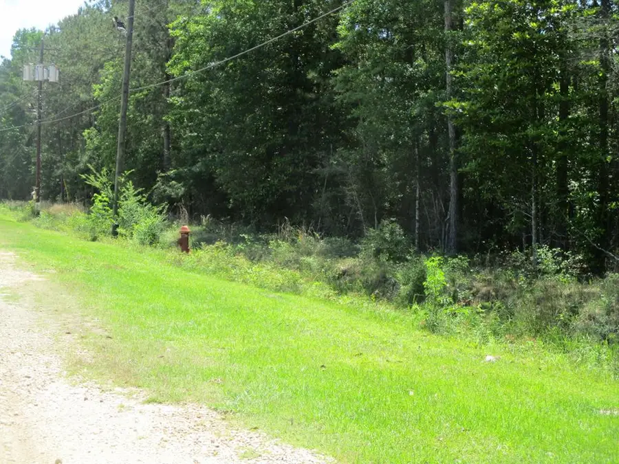 000 E 17th Street, Franklinton, LA 70438 - #2