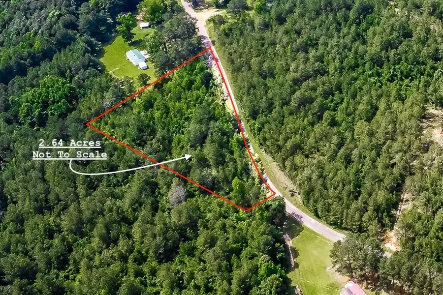 Jerusalem Road, Liberty, MS 39645 - Image #3