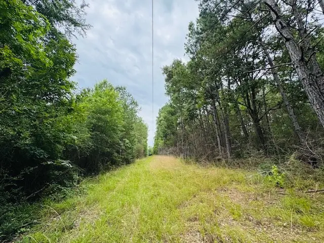 Tbd Carters Creek Road, Tylertown, MS 39667 - Image #2