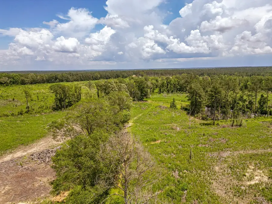 3320 Busy Corner Road, Liberty, MS 39645 - Image #3