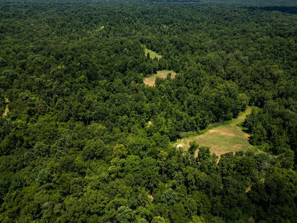 3169 Karnac Ferry Road, Port Gibson, MS 39150 - #1