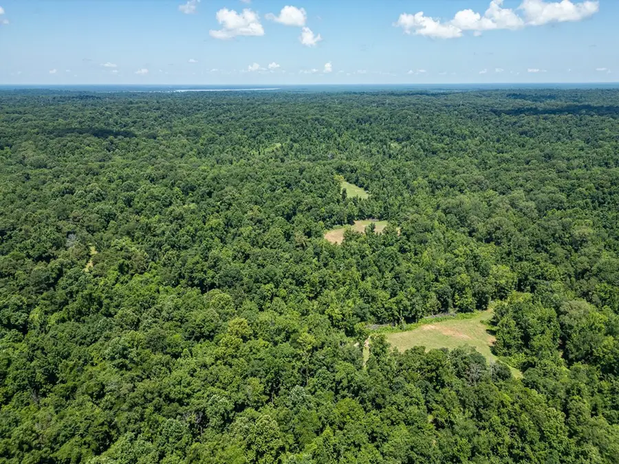 3169 Karnac Ferry Road, Port Gibson, MS 39150 - #2