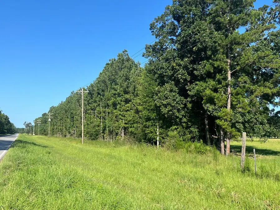 XXX Highway 44, Jayess, MS 39641 - Image #3