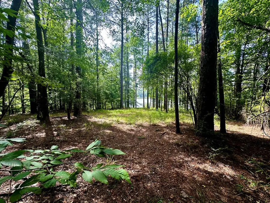 1054 Gardenia, Summit, MS 39666 - #3