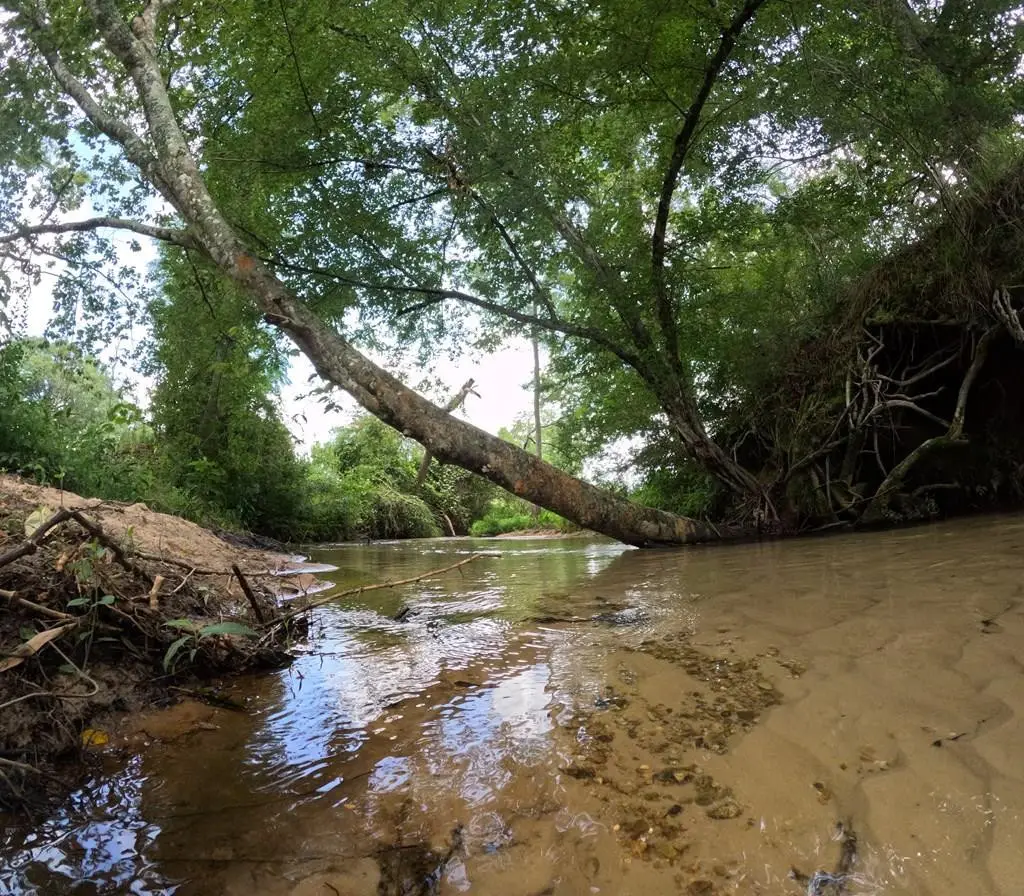 1608 Highway 586, Foxworth, MS 39483 - Image #1