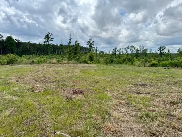 00 Dewitt Lane, Bogalusa, LA 70427 - #1
