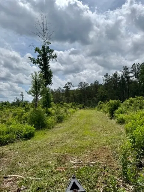 00 Dewitt Lane, Bogalusa, LA 70427 - #2