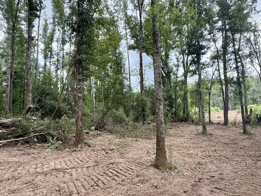 00 King Road, Wesson, MS 39191 - Image #3