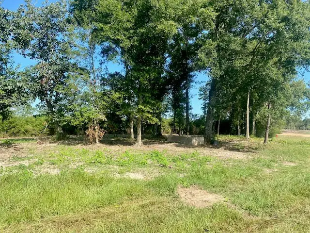 00 Dewitt Lane, Bogalusa, MS 70427 - #2