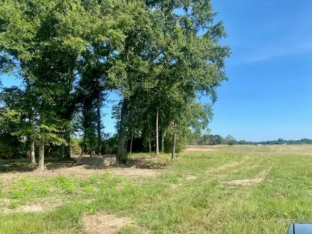 00 Dewitt Lane, Bogalusa, MS 70427 - #3