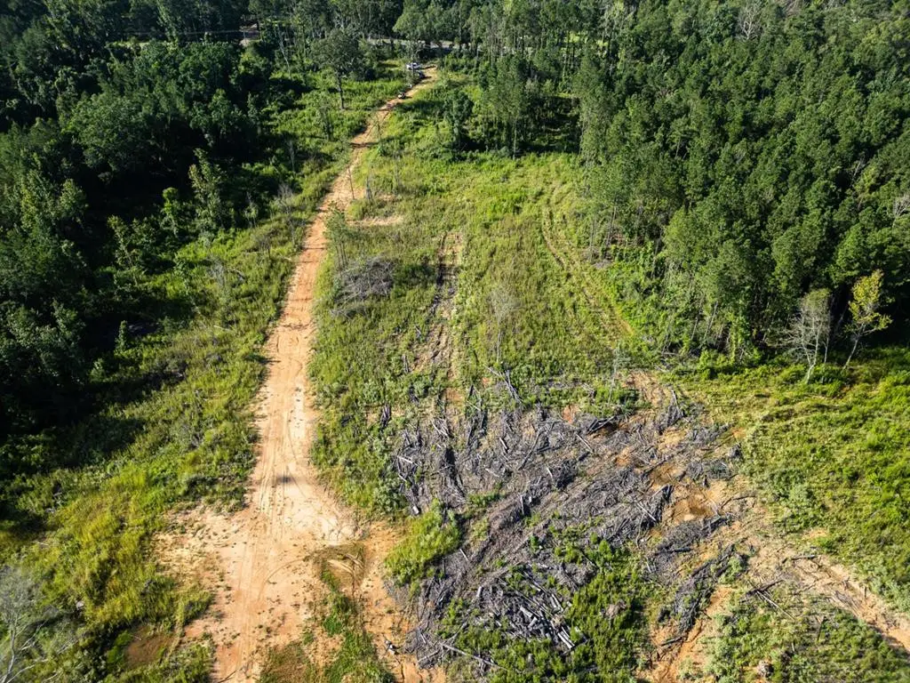 4698 Kahnville Road, Gloster, MS 39638 - #1