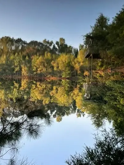 83 Jayess Road, Tylertown, MS 39667 - #2