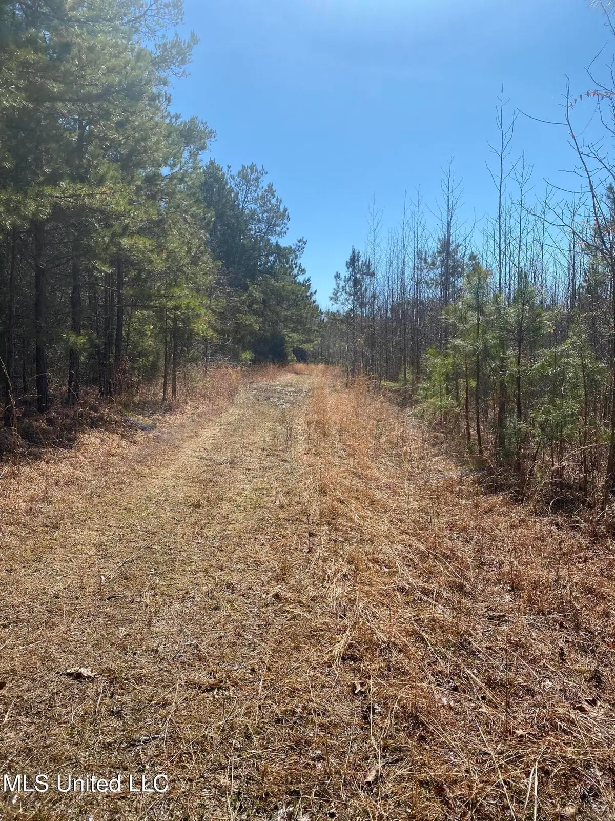 Co Rd 700, Ripley, MS 38663 - Image #1