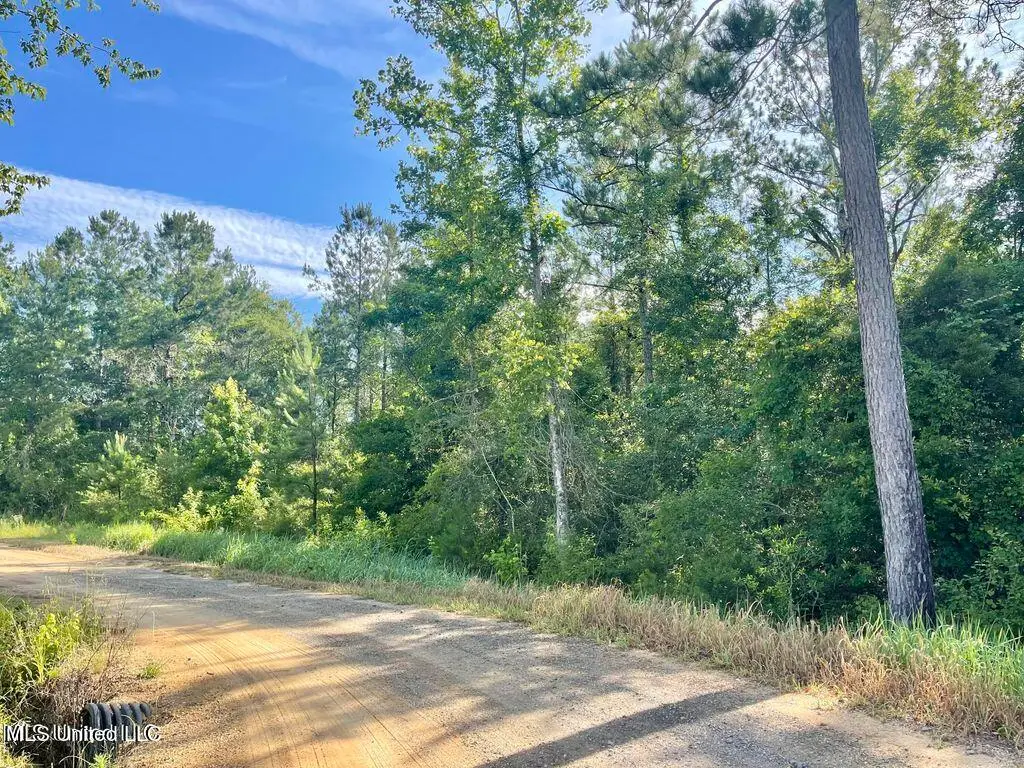 2 Acres Ferrell Lane, Leakesville, MS 39451 - Image #1