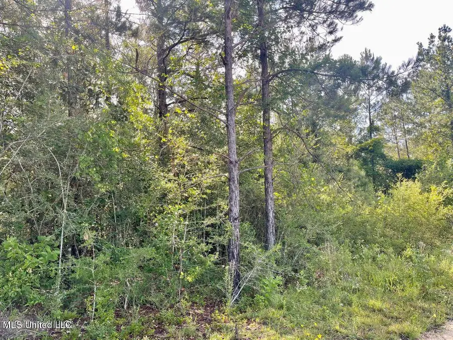 2 Acres Ferrell Lane, Leakesville, MS 39451 - Image #3