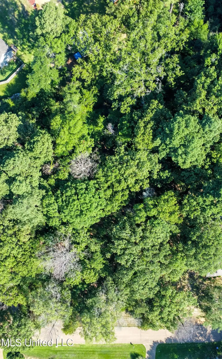 0 Mallard Way, Clinton, MS 39056 - Image #3