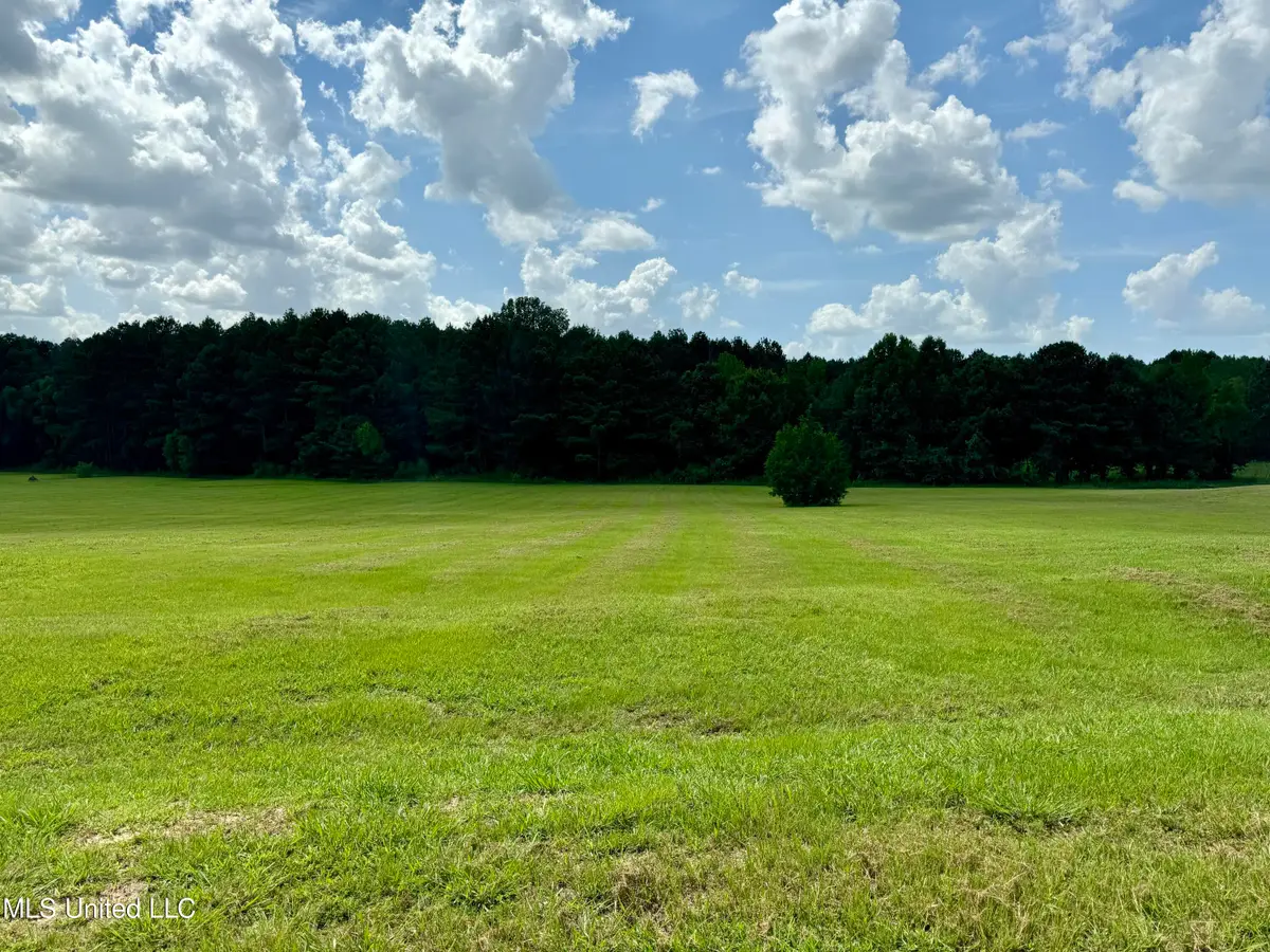 527 Clark Stables Road, Brandon, MS 39047 - Image #1