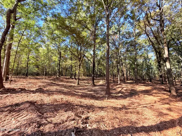 Stout Meadows Lane, Madison, MS 39110