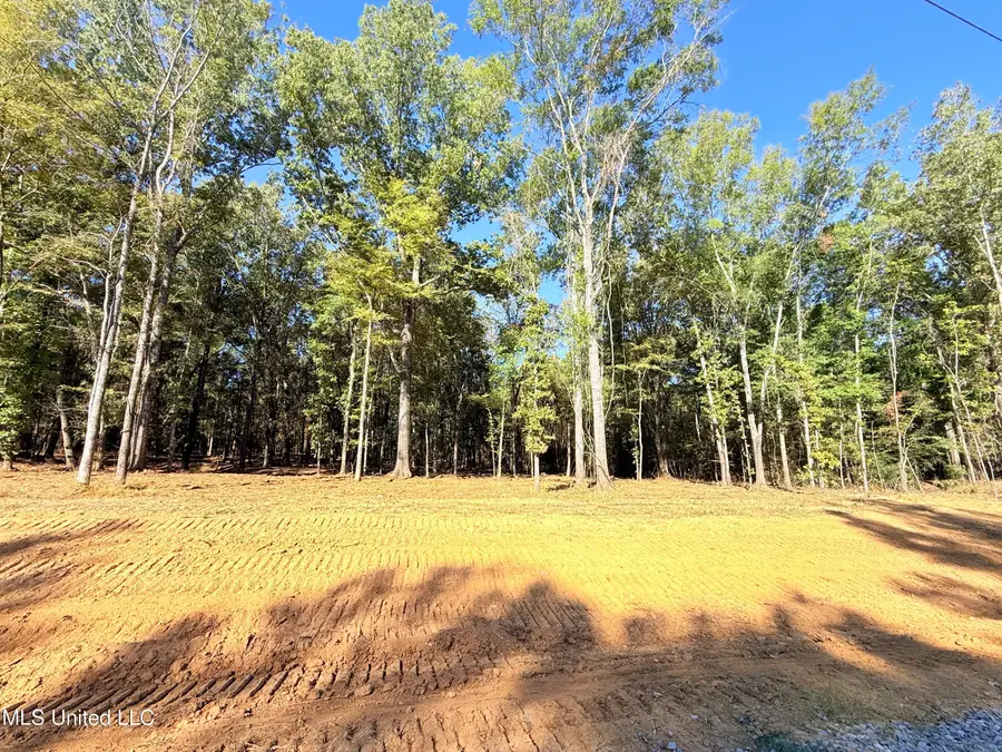 Stout Meadows Lane, Madison, MS 39110 - Image #2
