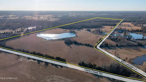 0 Cane Creek Road, Flora, MS 39071