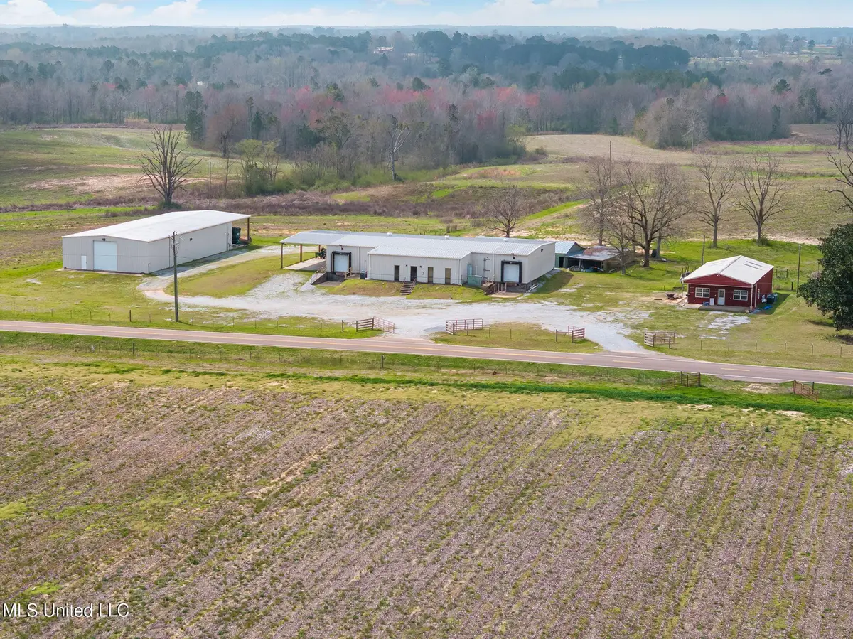 300 Acres +/- Hwy 532, Mount Olive, MS 39119 - Image #1