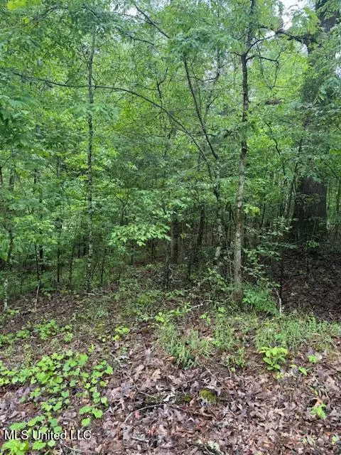 #2