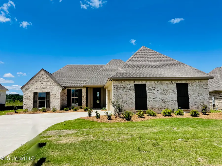 425 Aurora Circle, Canton, MS 39046 - #3