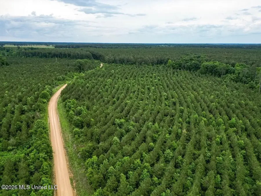 7398 Amon Hill Road, Bastrop, MS 71220 - #2