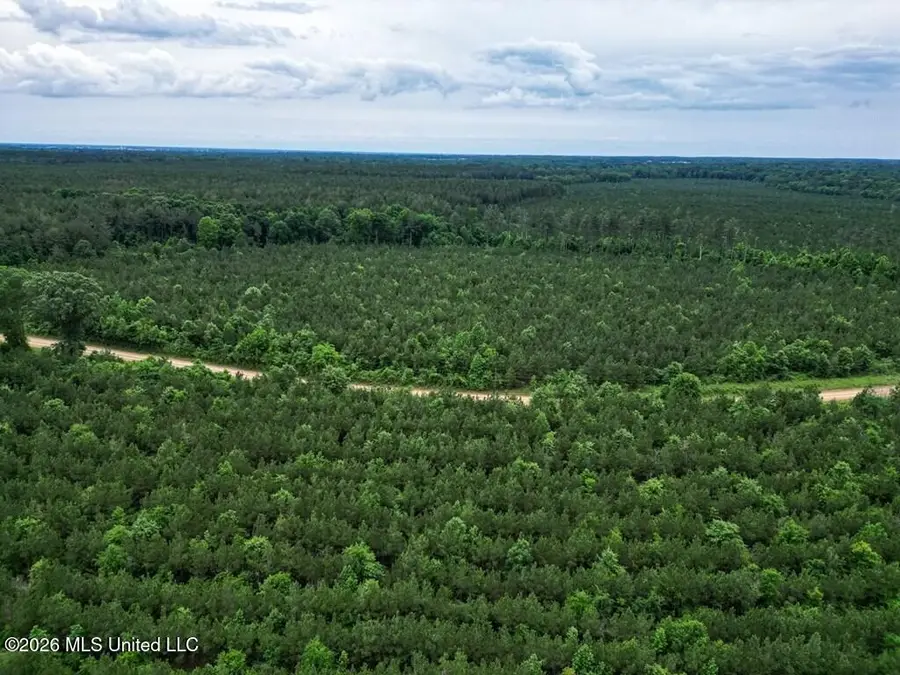 7398 Amon Hill Road, Bastrop, MS 71220 - #3
