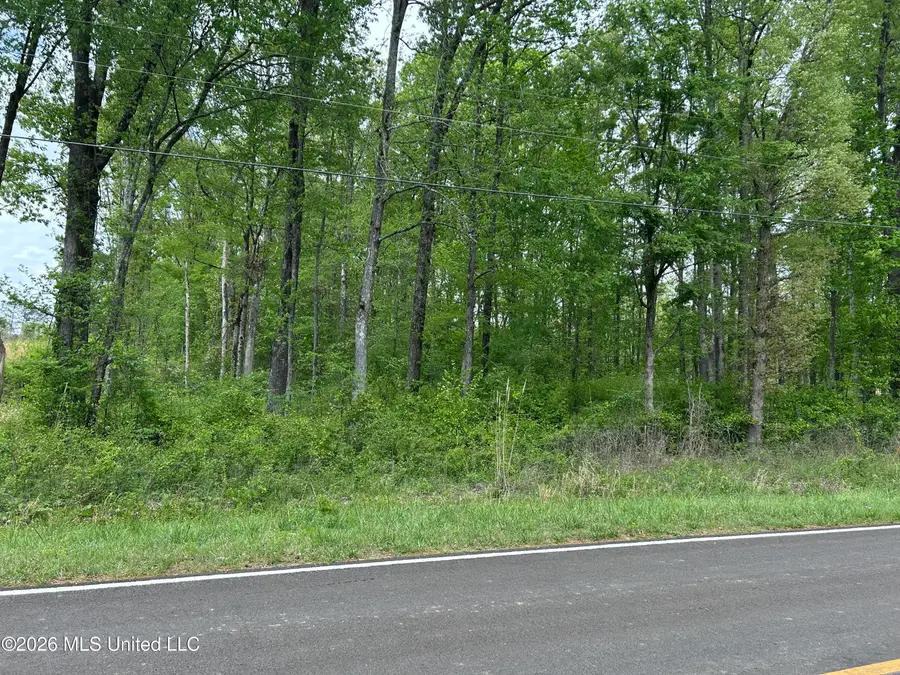 6163 Barton Desoto Road, Olive Branch, MS 38654 - #2