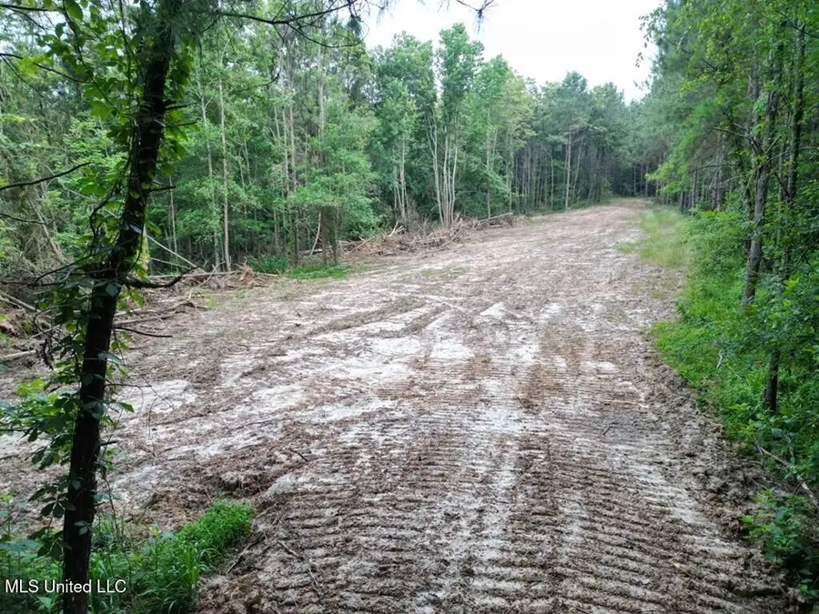 1 Old Hamburg Road, Roxie, MS 39661 - Image #3