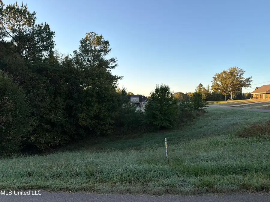 334 W Byhailia Creek Farm Road, Byhalia, MS 38611 - Image #2