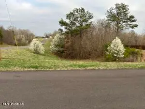 334 W Byhailia Creek Farm Road, Byhalia, MS 38611 - Image #3