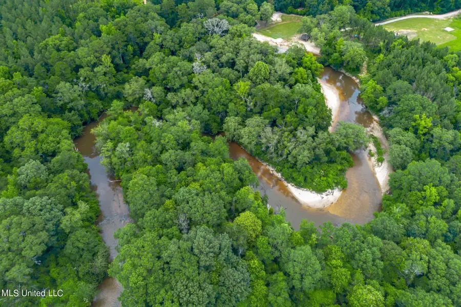 2710 Hwy 49 N, Collins, MS 39428 - Image #3